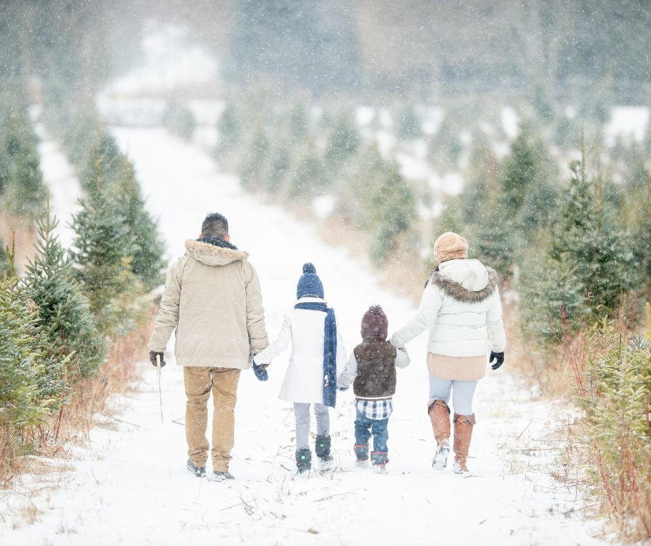 Nouvelle famille en hiver